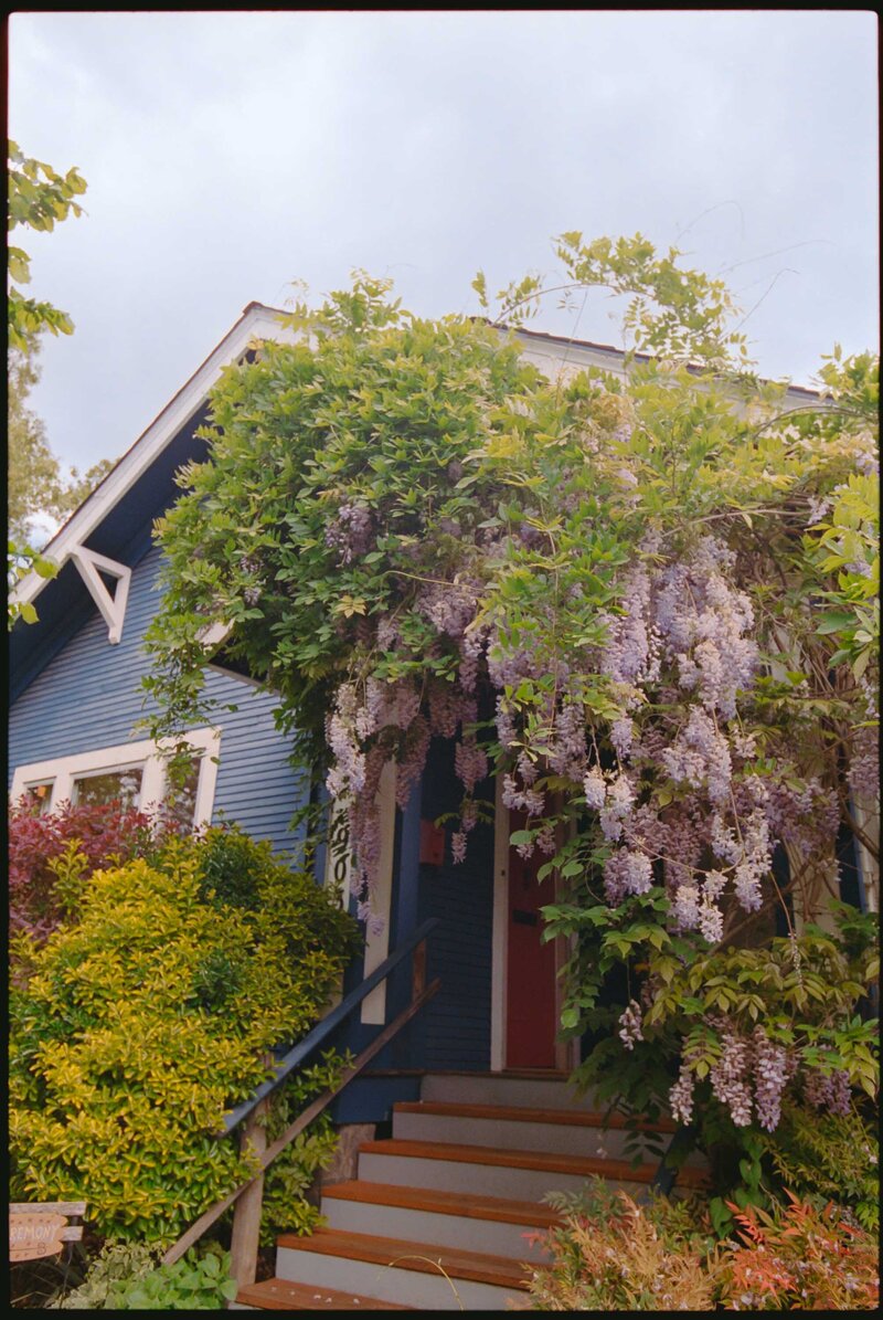 Backyard-Wedding-Portland-Jess-Buckley-Photo-1