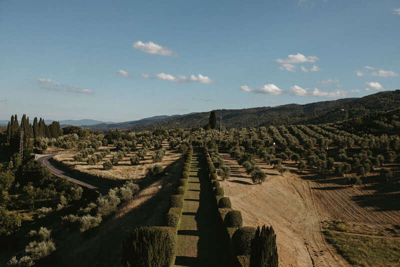 Peaceful outdoor garden scene captured in Italy