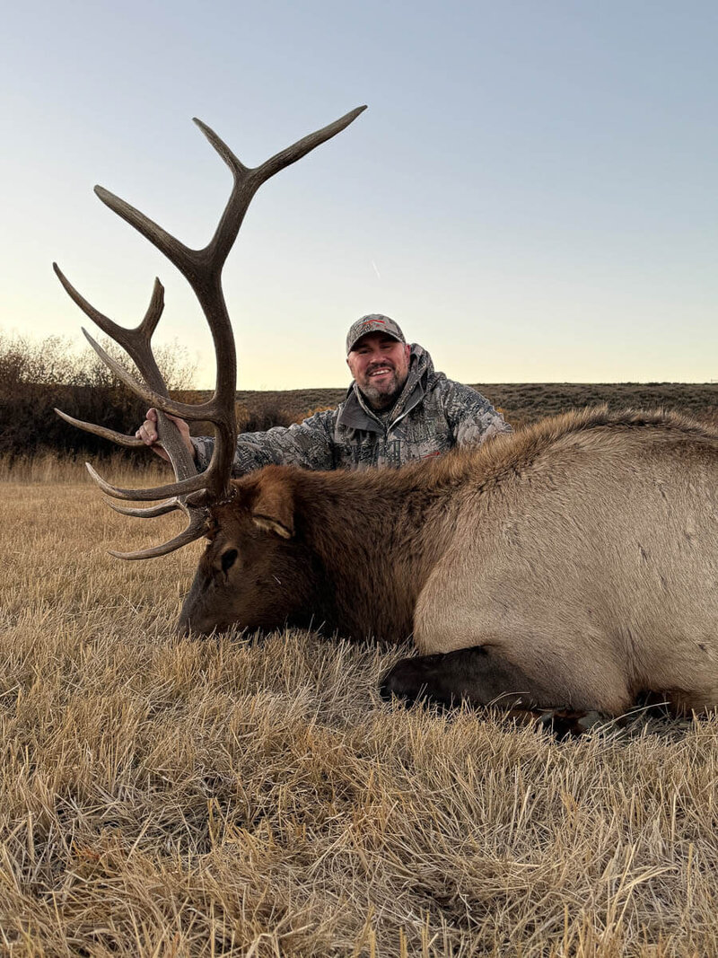 Guided elk hunt in Wyoming