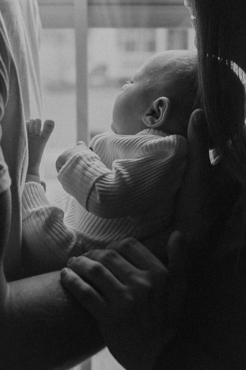 NC newborn photos