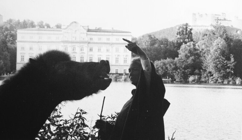 Pferdetrainerin und Pferdemassagetherapeutin in Salzburg, Deutschland, Tricktraining mit ihrem Islandpferd zum Lächeln
