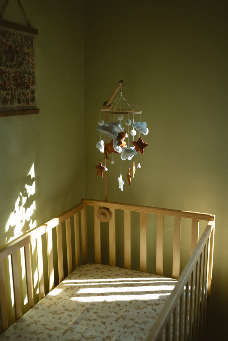 CozyInHomeNewbornPhotos1