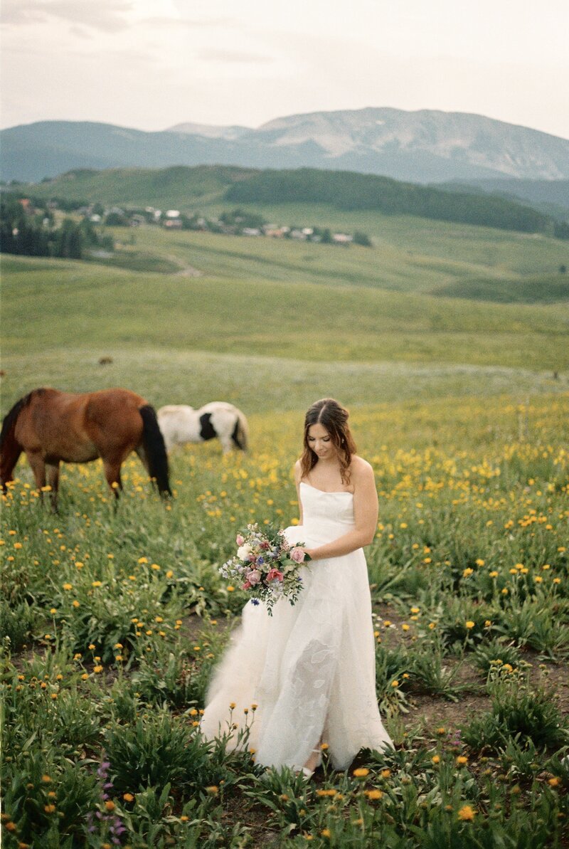 karleigh-and-jake-crested-butte-wildflower-elopement-on-35mm-film-24