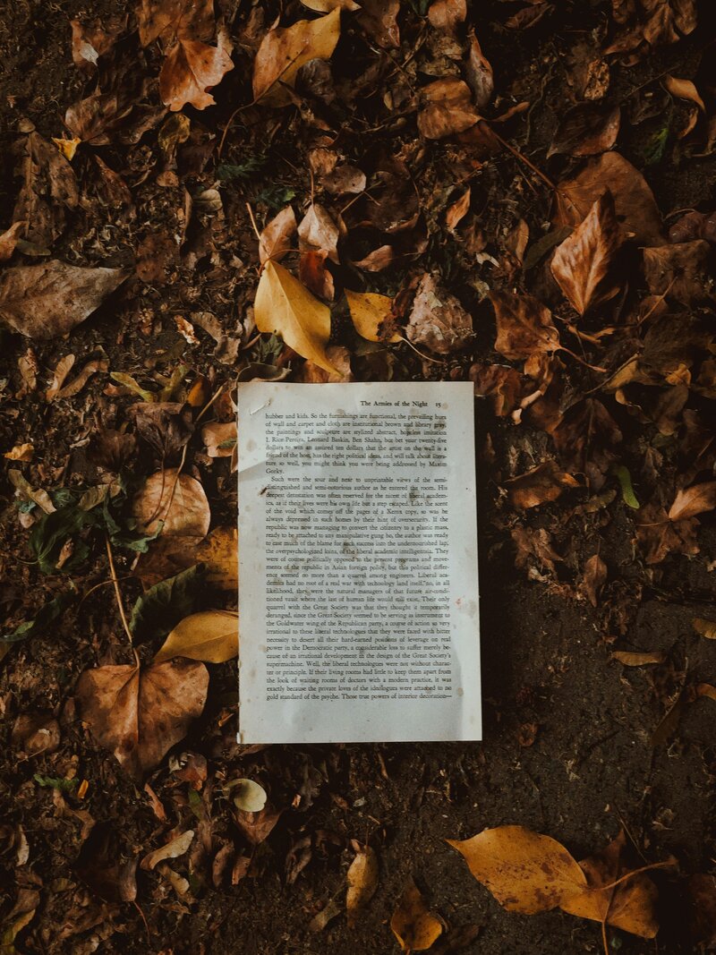 Flatlay of a literary travel journal with scenic photos and mementos from book-inspired journeys