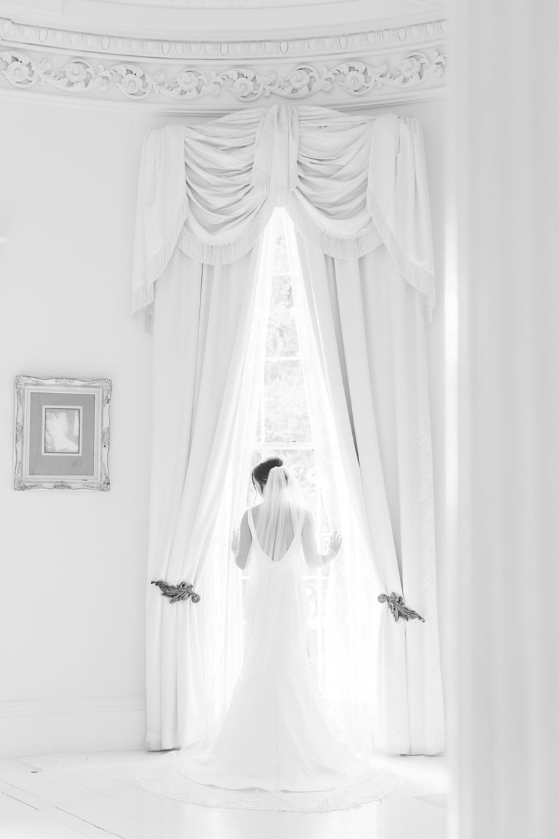 Nottoway-Plantation-Baton-Rouge-Louisiana_17