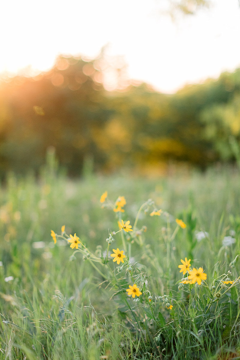 fortworthpark5