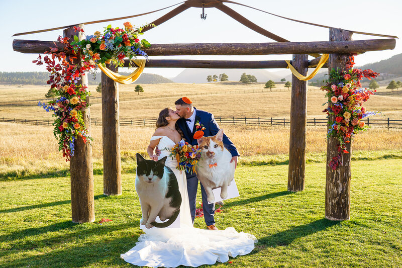 Bride and groom posing with large cardboard cat cutouts during their vibrant wedding at Upper Ranch at Spruce Mountain Ranch in Colorado.