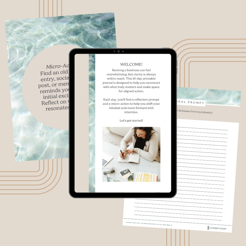 Biz Clarity Pages 1