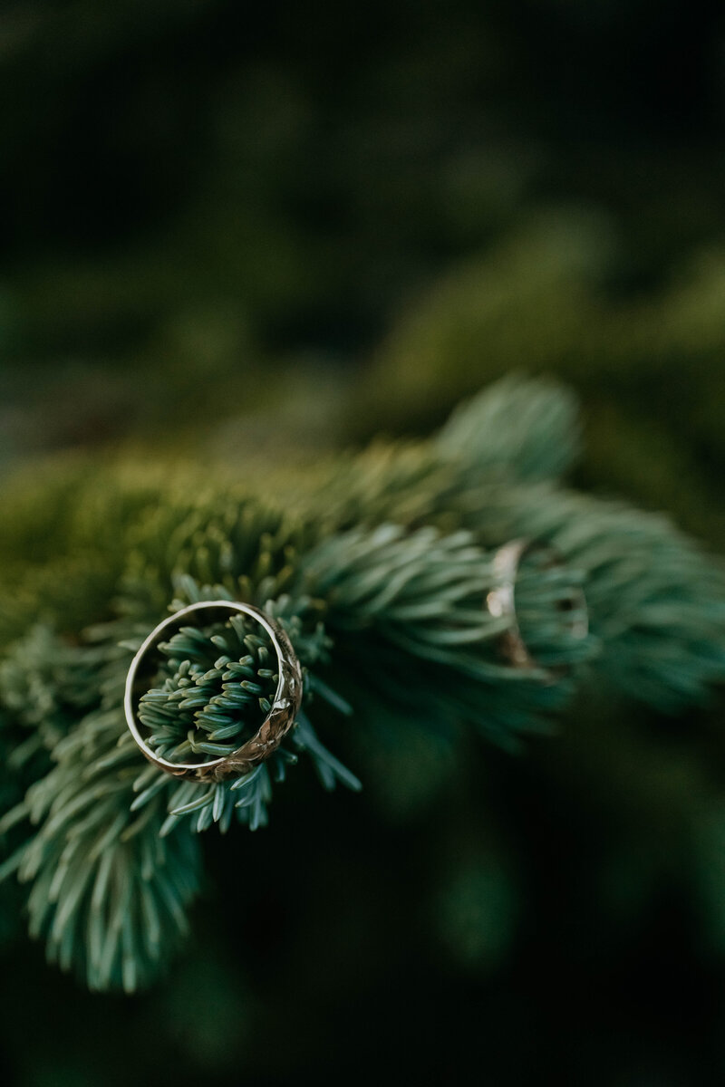Ana_Connor_Long_Lake_Engagement_Photos-87