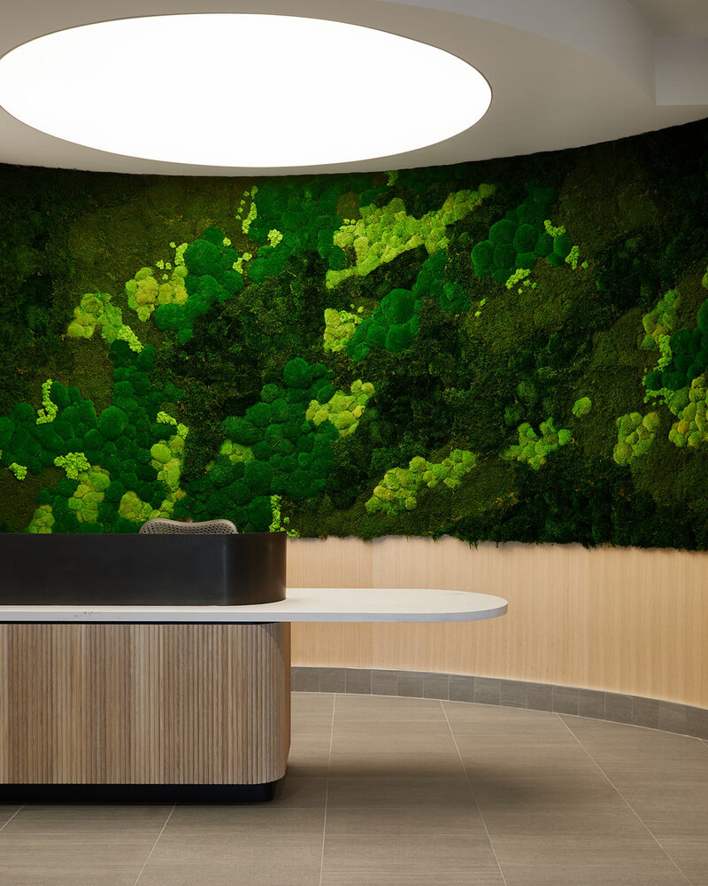 A large planter encircled by fluted wood panels in front of a large biophilic wall with a circular light fixture above