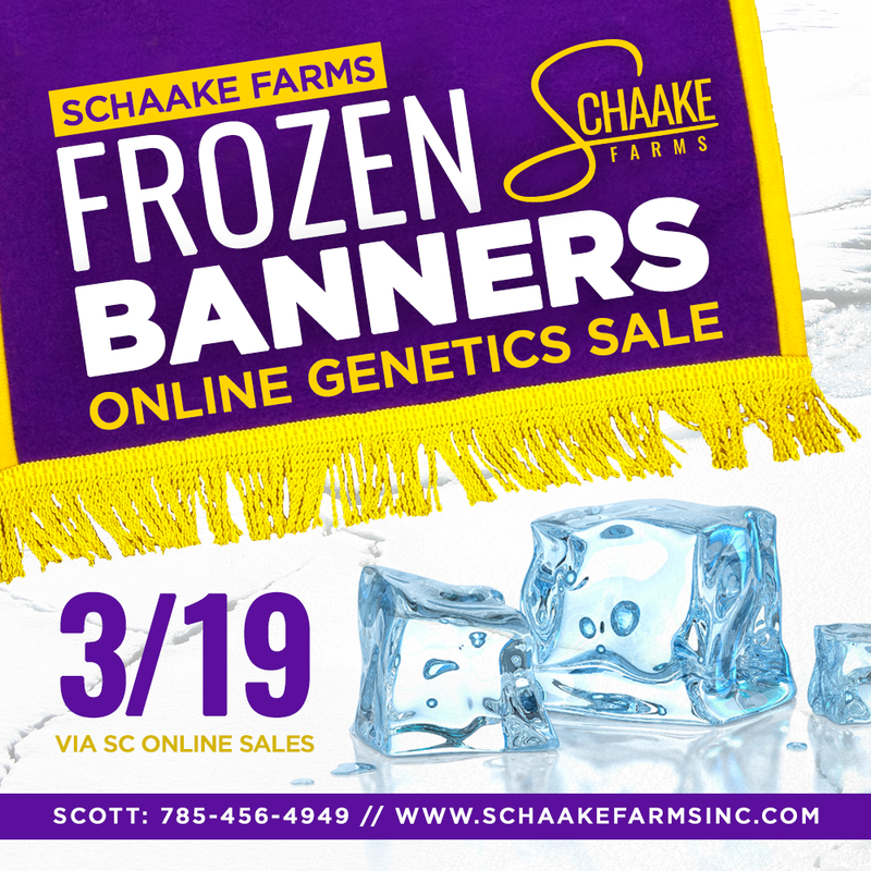 FrozenBanners-Graphic-2019-SC
