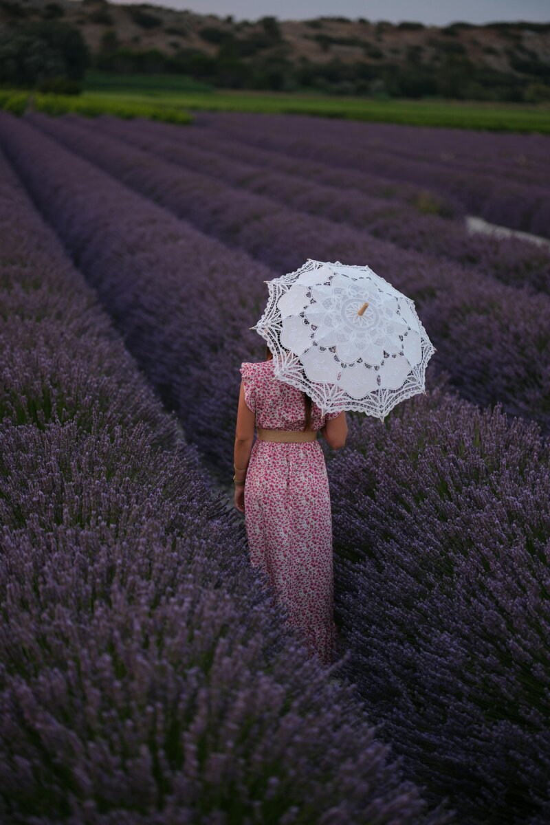 A photo of a women on her babymoon with lavender fields