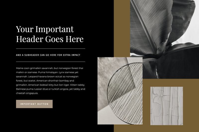 dark content layout for Showit designers