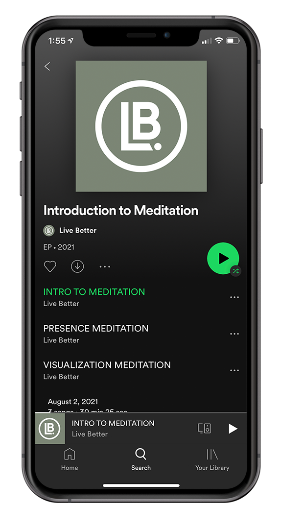 LB-Phone_spotify-meditation-2