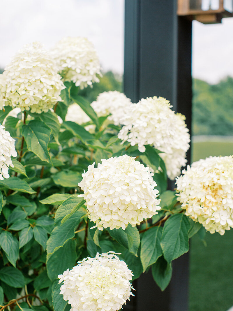 Florals at Diamond Creek Farm