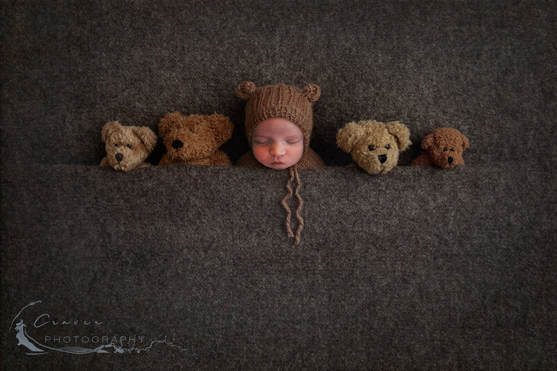 teddy bears fb