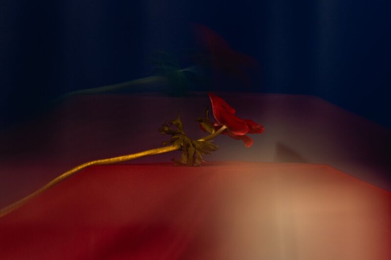 DTS_In_Focus_Daniel_Farò_Photos_ID5010