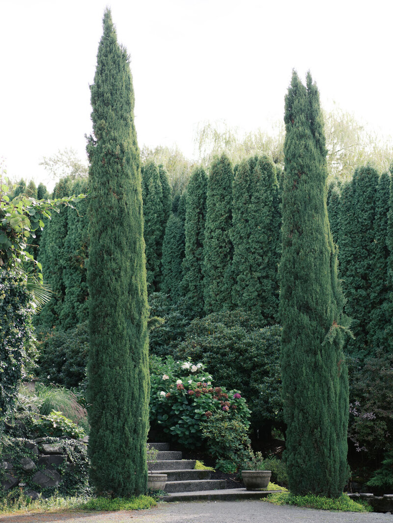 Chateau-Lill-Premium-Northeast-Seattle-Wedding-Venue-15