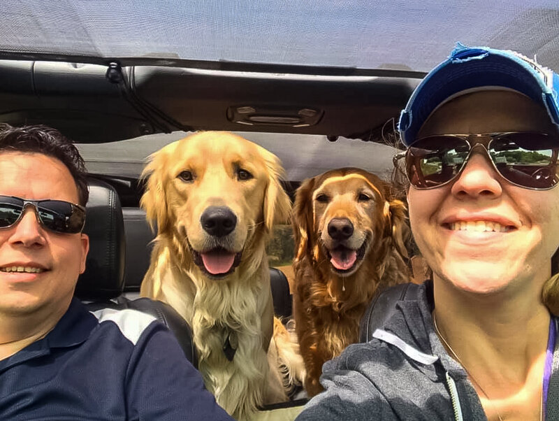 Family and dogs jeeping