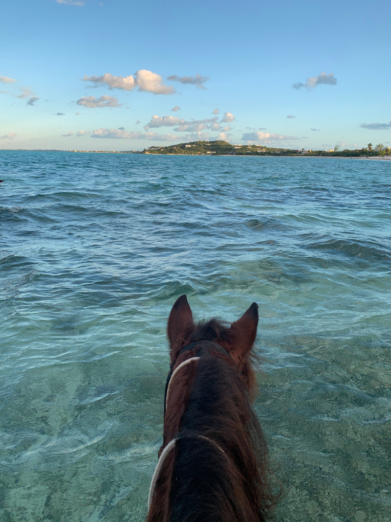 Turks_Caicos(6)