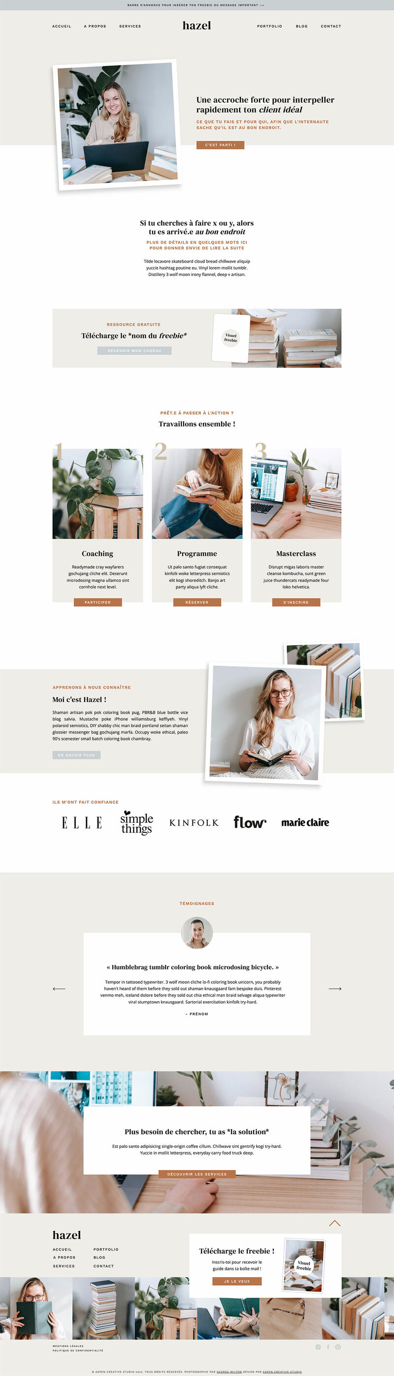 Capture d'écran du template de site Internet Showit Ash