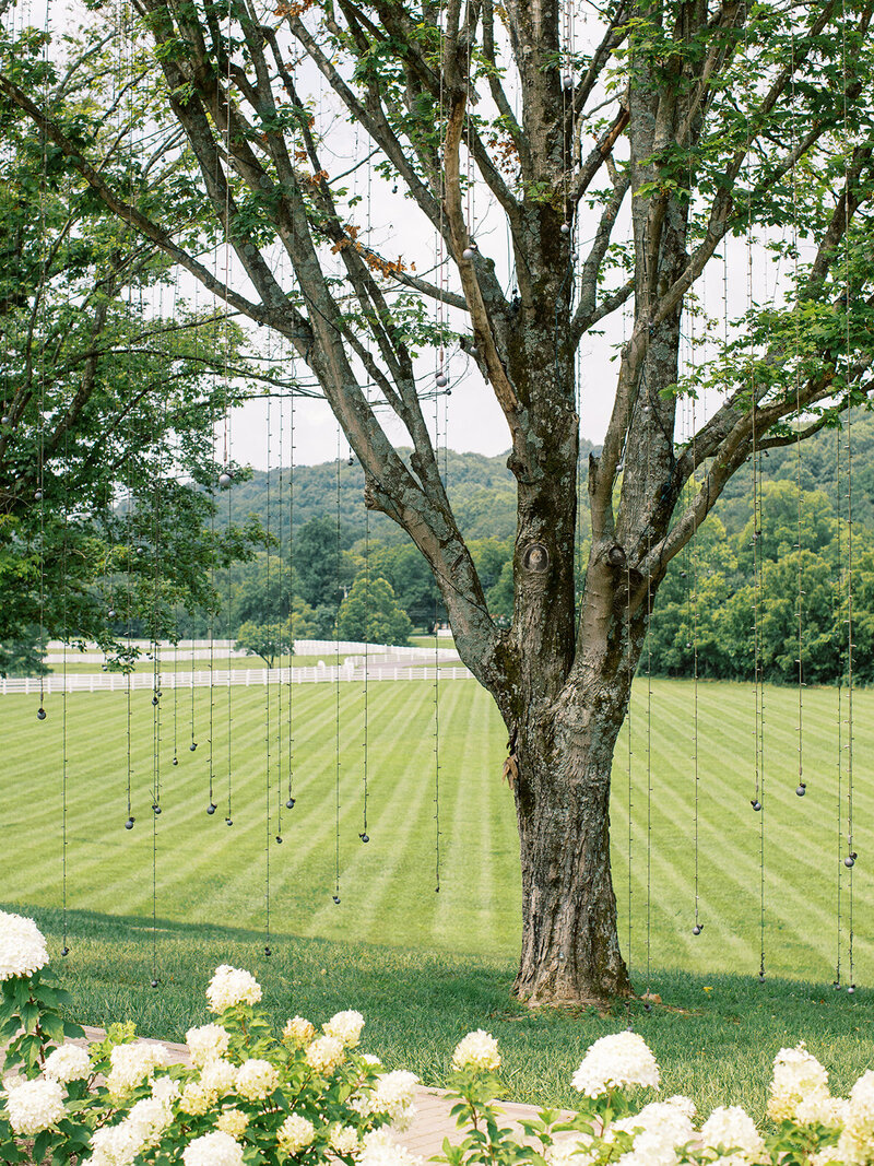 DiamondCreekFarms_MichelaWatsonPhotography-3