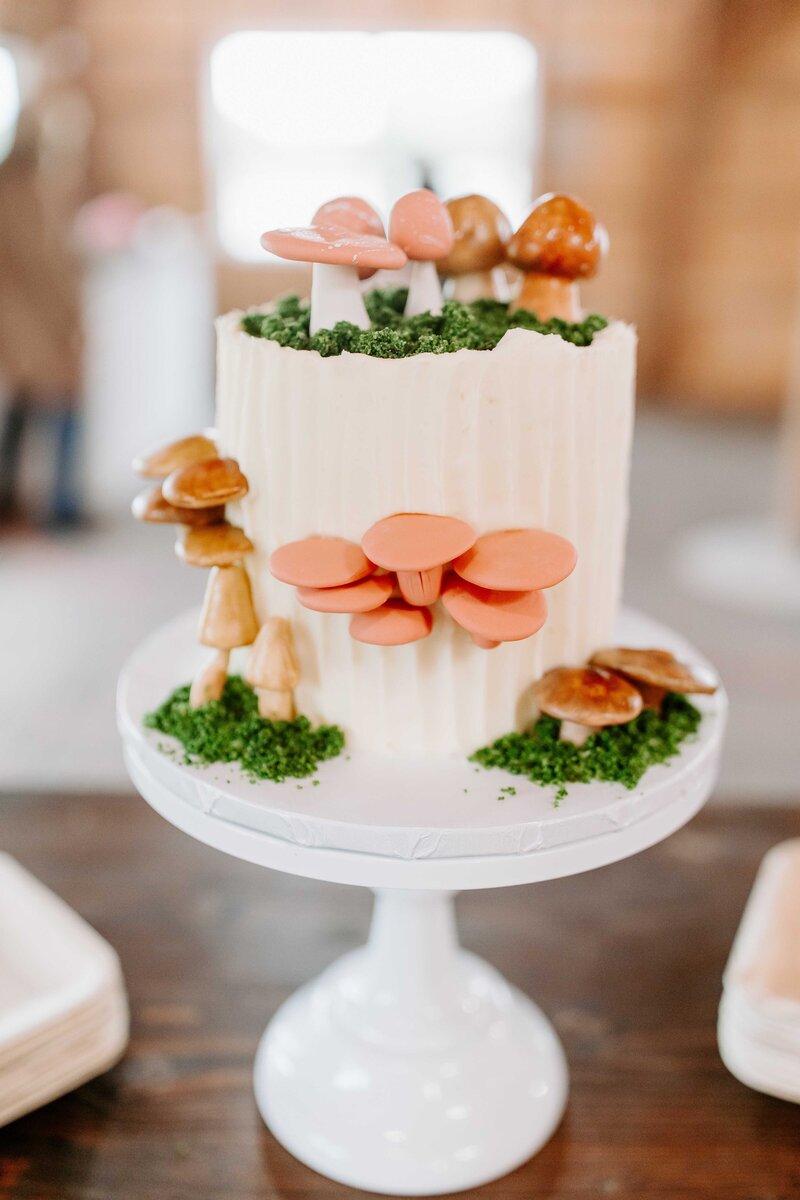 Cute mushroom cake - party in Charlotte, NC