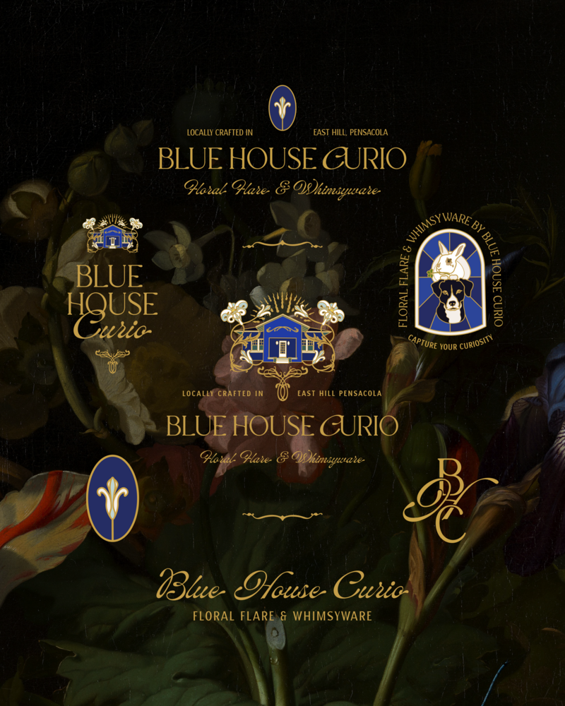 BHC Logo Suite
