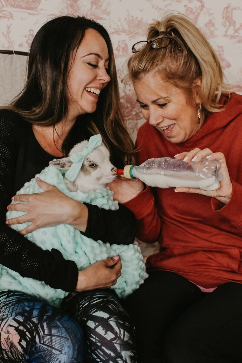 Guests feeding a baby goat at a luxury farm retreat at Gilbertsville Farmhouse