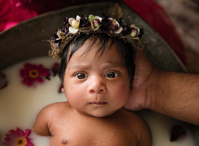 beautiful indian baby in milkbath, burgundy tones