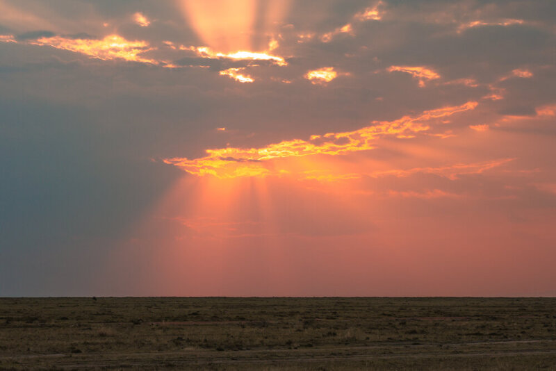 safariedited-138
