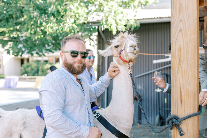 napa county wedding, calistoga california, bay area wedding, marin county wedding, wine country wedding