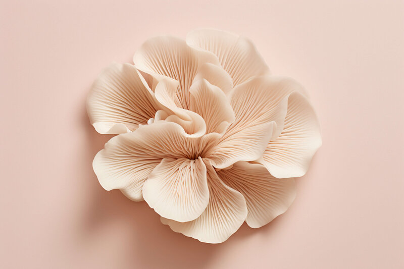 A delicate beige paper flower against a soft pink background.