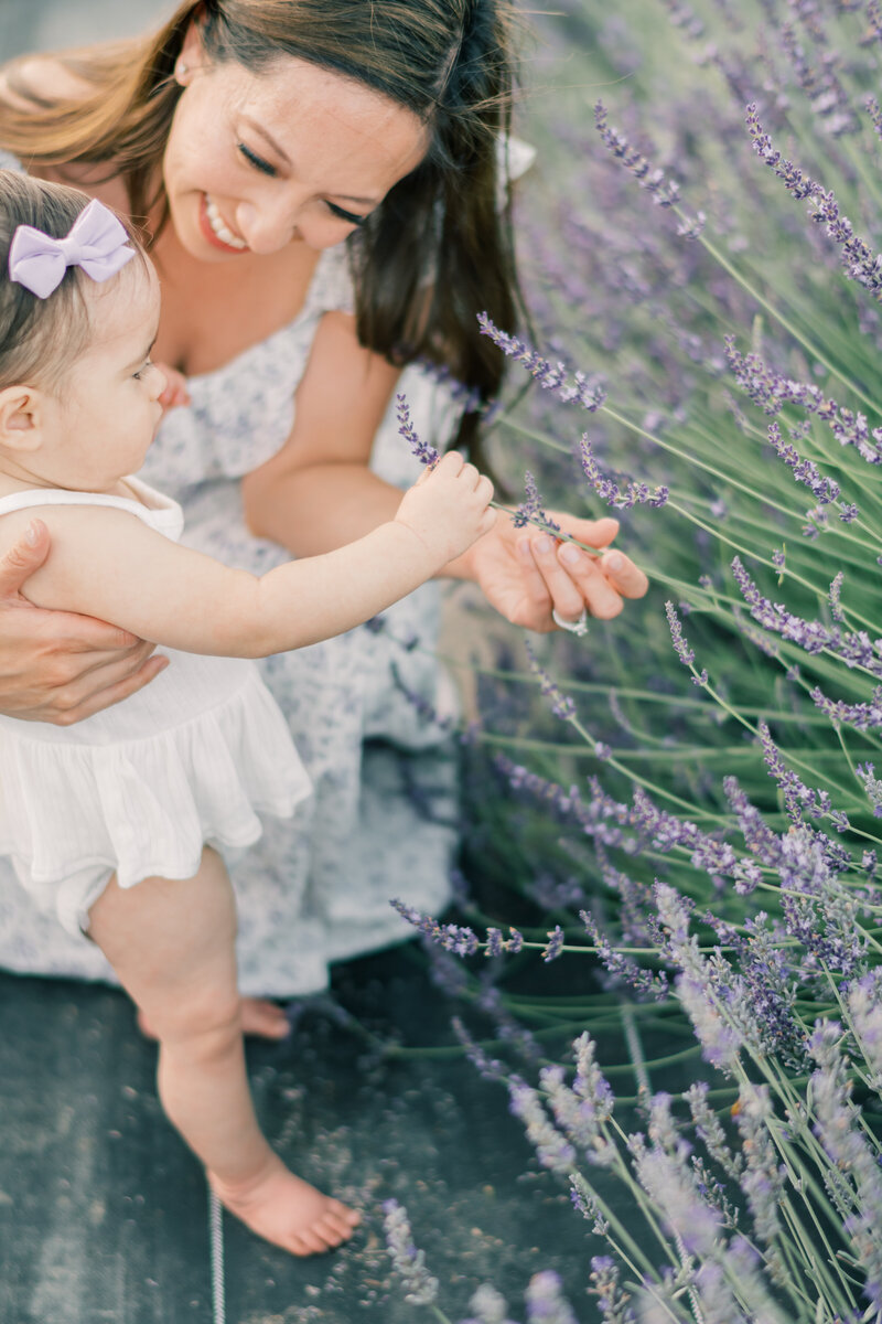 Mom and toddler girl touching lavender bushes
