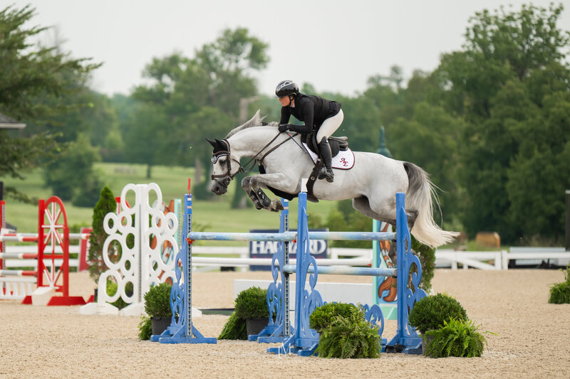 Unbridled MediaAAM_9186