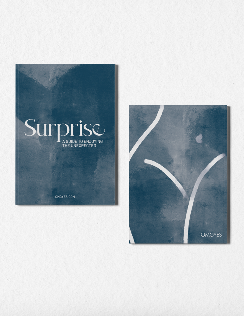 Pleasure_Mobile_MockUp