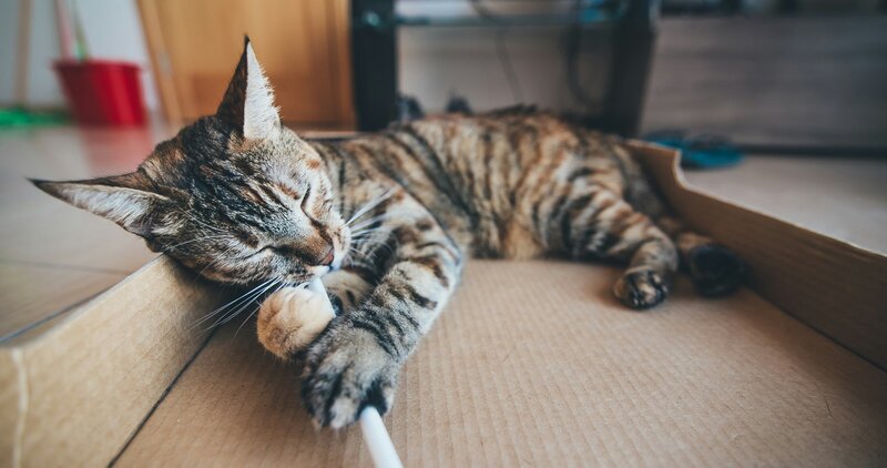 ferenc-horvath-ynEeGlRDSRo-unsplash