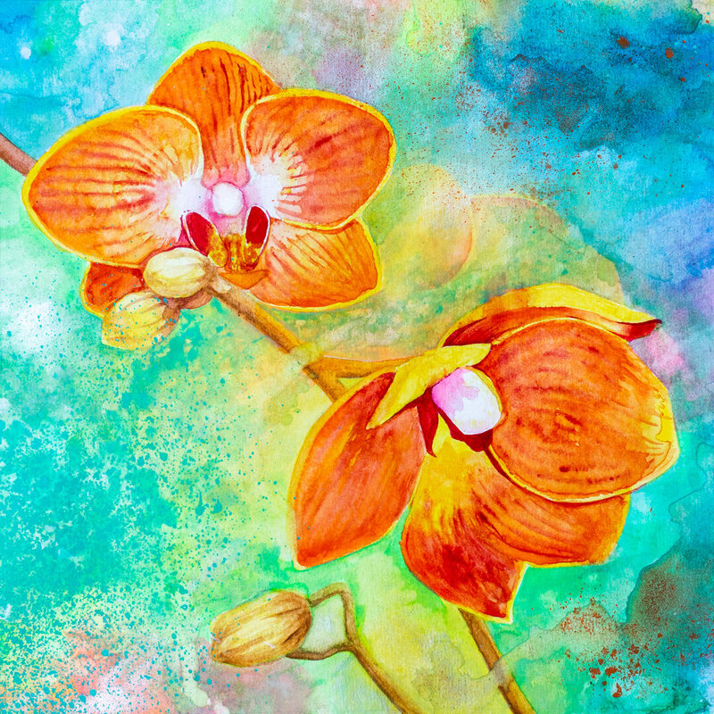 orchids_web-9