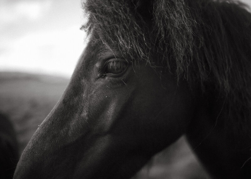 iceland-edits-129
