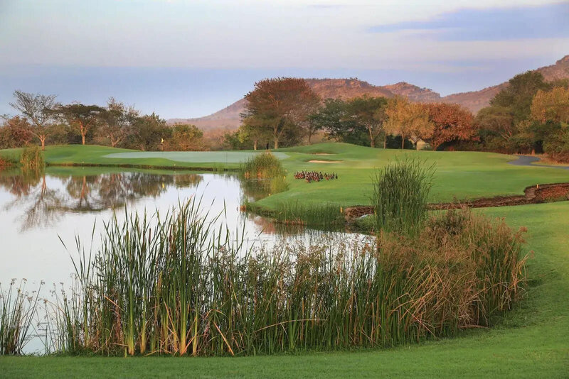 Leopard Creek 3