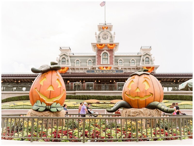 Disney Stock Photos_0291