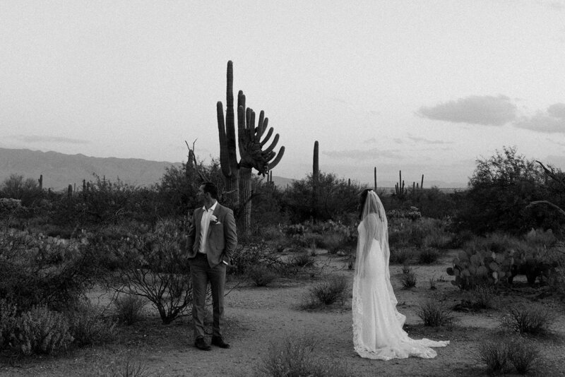 Bride and Groom elope in Sabino Canyon Arizona