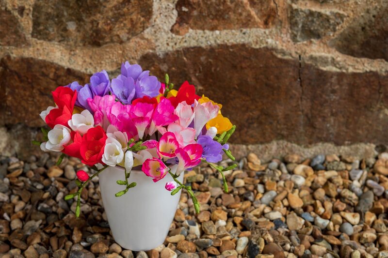 Paper freesias
