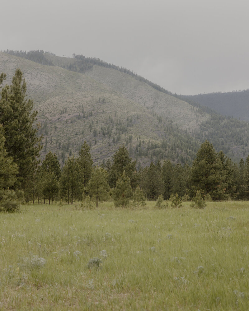 White-Raven-Wedding-Photos-Missoula-2799