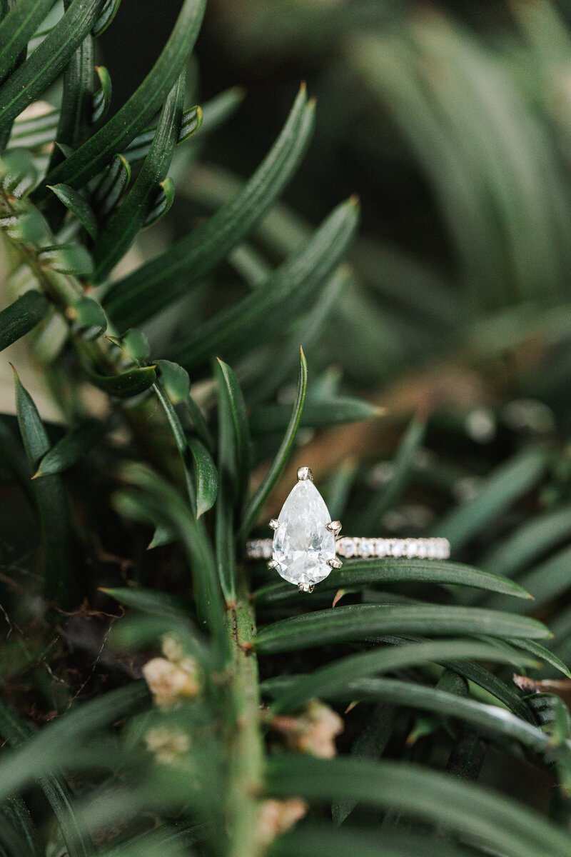 Jessica & Tanner_s Engagement-315