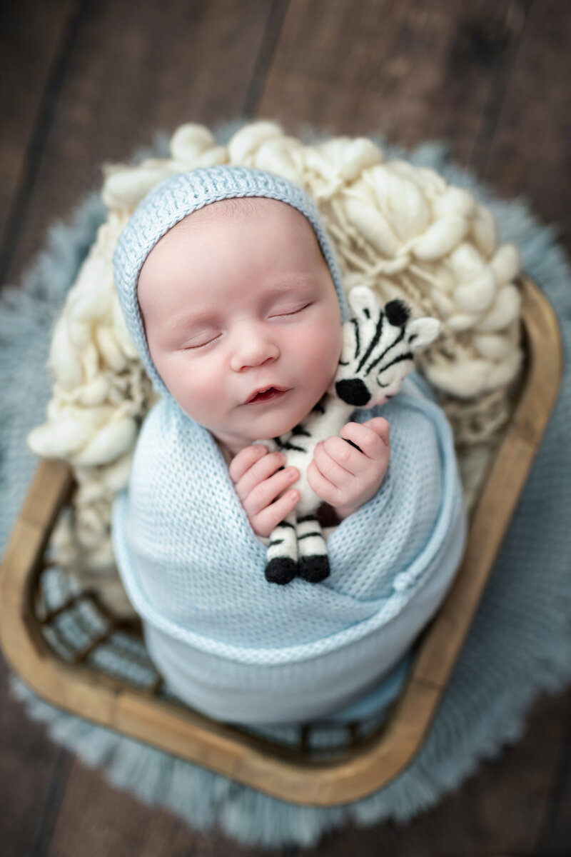 Newborn boy wrapped in blue, holding a zebra felt toy while sleeping peacefully in a rustic wood basket.