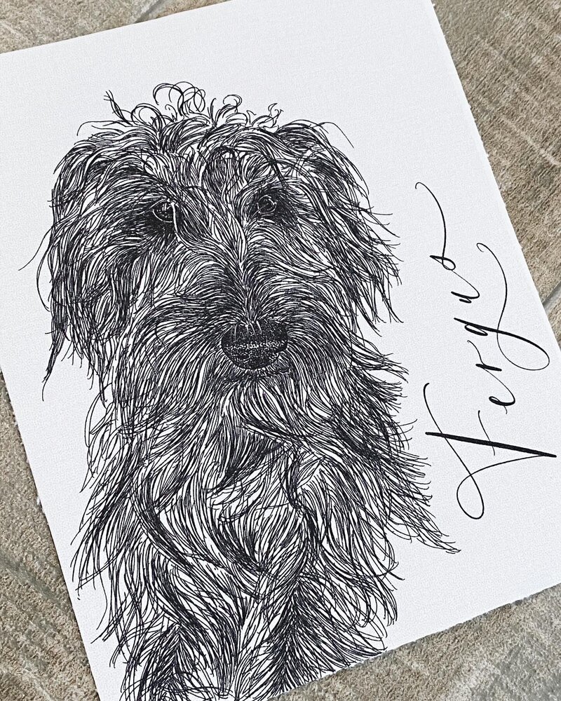 dog portrait