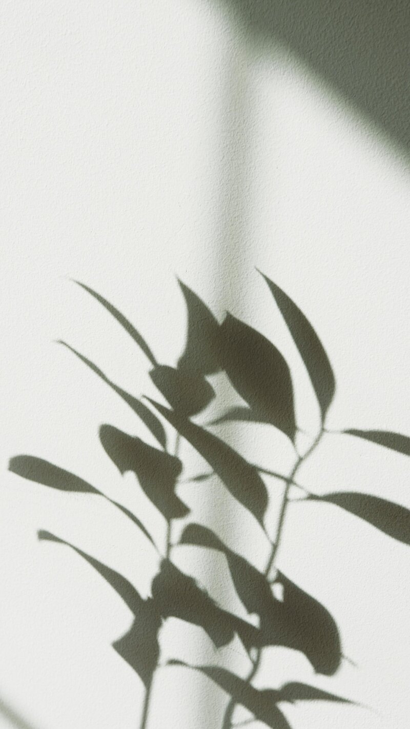 Close-up of green leaves symbolizing growth and healing, featured on Ellipsis Mental Health counseling website in Minnesota.