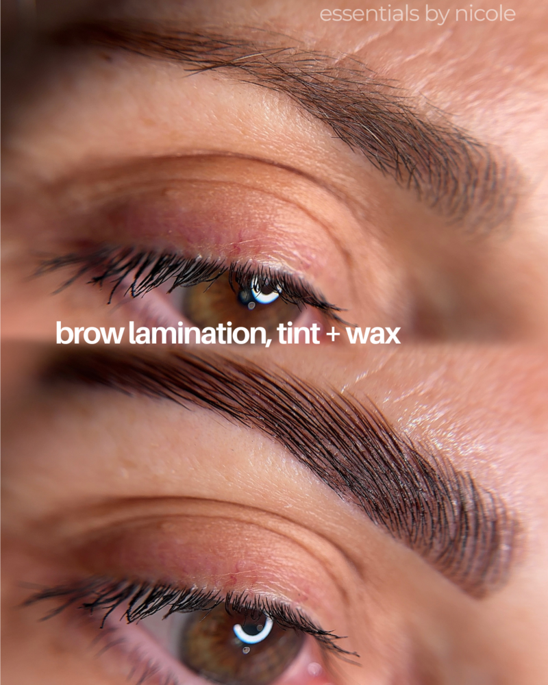brow lamination in springfield massachusetts area at Essentials by Nicole 