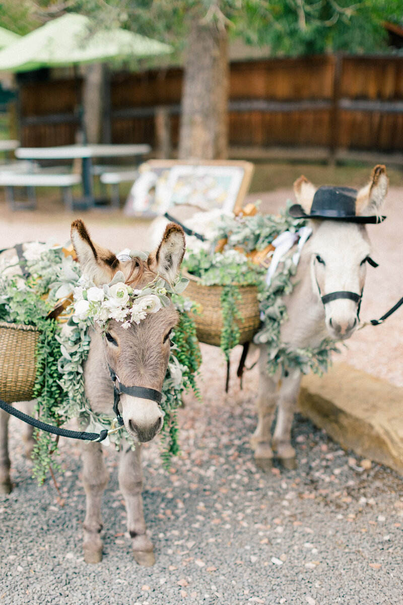 Chapel-On-The-Rocks-Wedding-Photographer-70